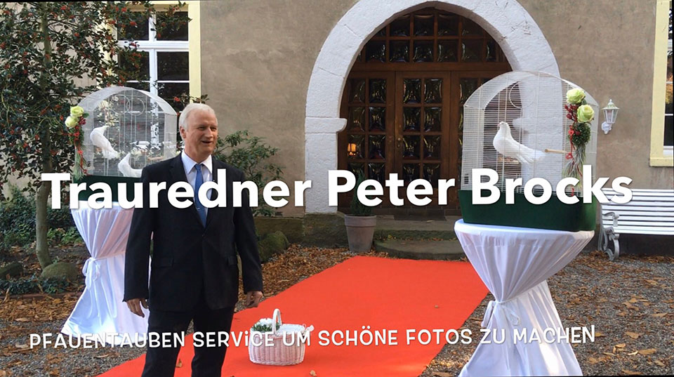 Hochzeitstauben Mal Anders Hochzeitsuberraschung Als Geschenk Mit